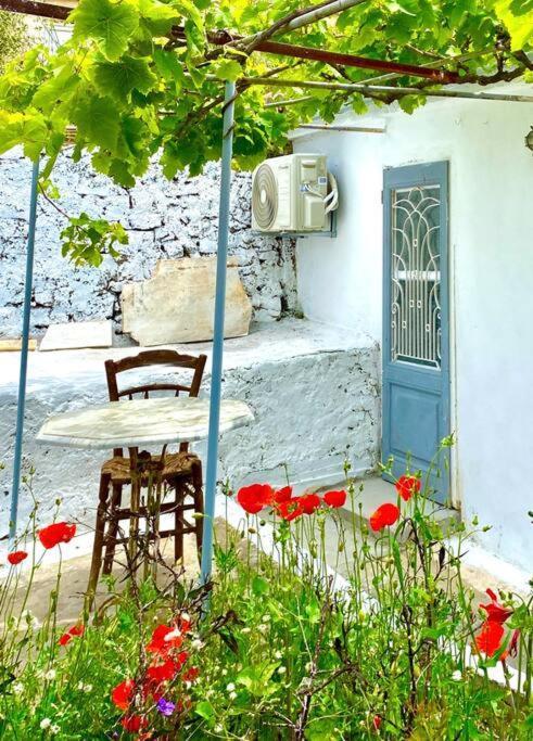 Stylish Vathy Studio With Sea View Extérieur photo
