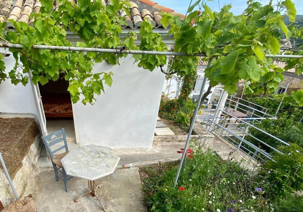 Stylish Vathy Studio With Sea View Extérieur photo